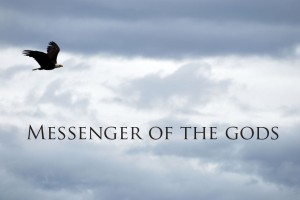 Eagle: Messenger of the Gods