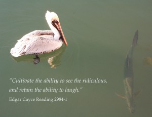 Pelican surveys too-big fish