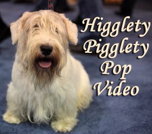 Higglety Pigglety Pop Video