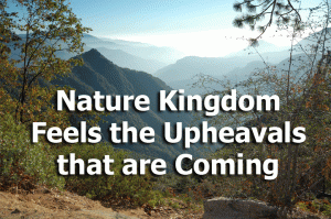 Nature Kingdom Feels the Upheavals that are Coming