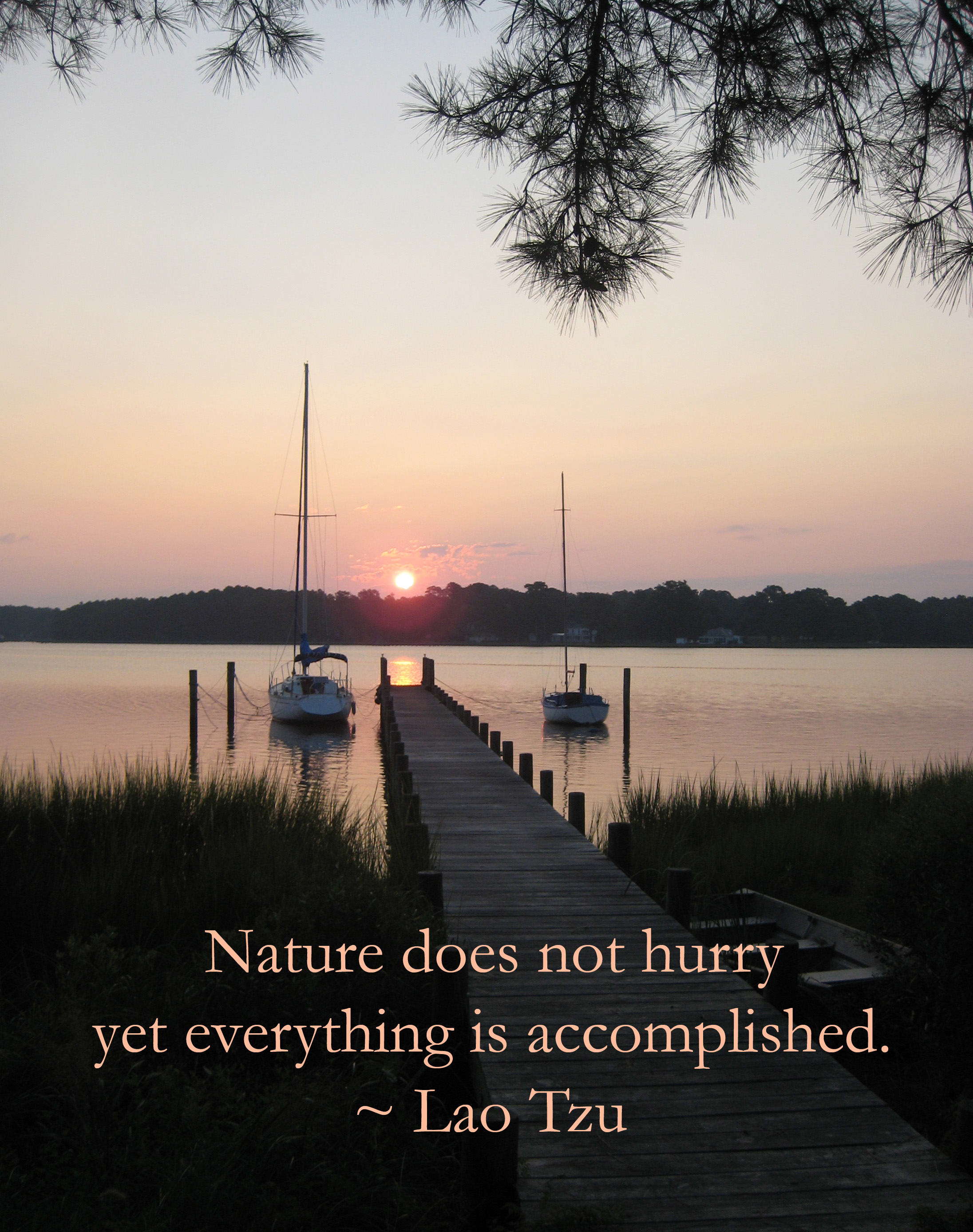 Carol Chapman- Inspirational quote about nature from Lao Tzu