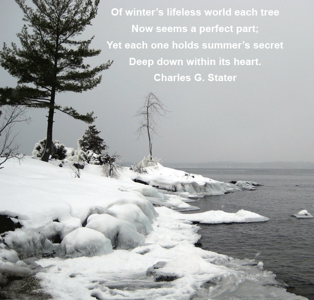 Inspirational Quote on Winter | Carol Chapman