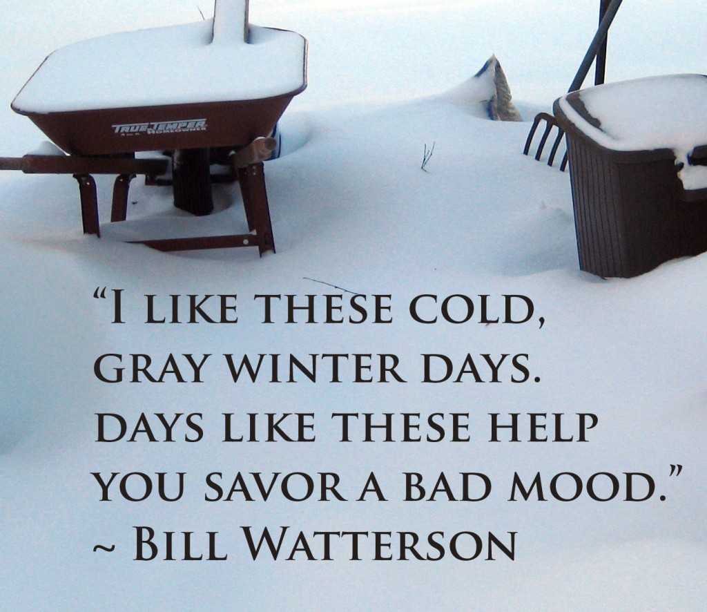 A great inspirational winter quote for an overcast bad mood Monday ...