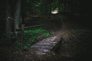 Dream Interpretation: Darkness. A footbridge in a dark forest