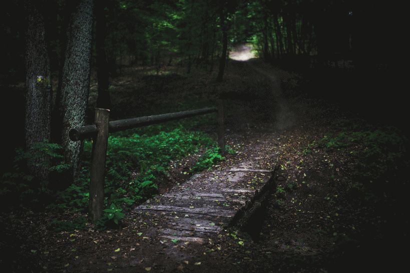 Dream Interpretation: Dark A footbridge in a dark forest