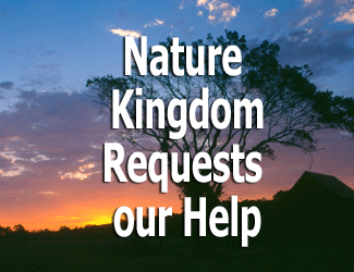 Nature Kingdom Requests our Help