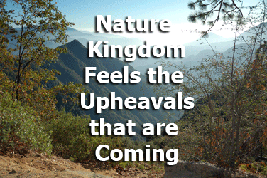 Nature Kingdom Feels the Upheavals that are Coming