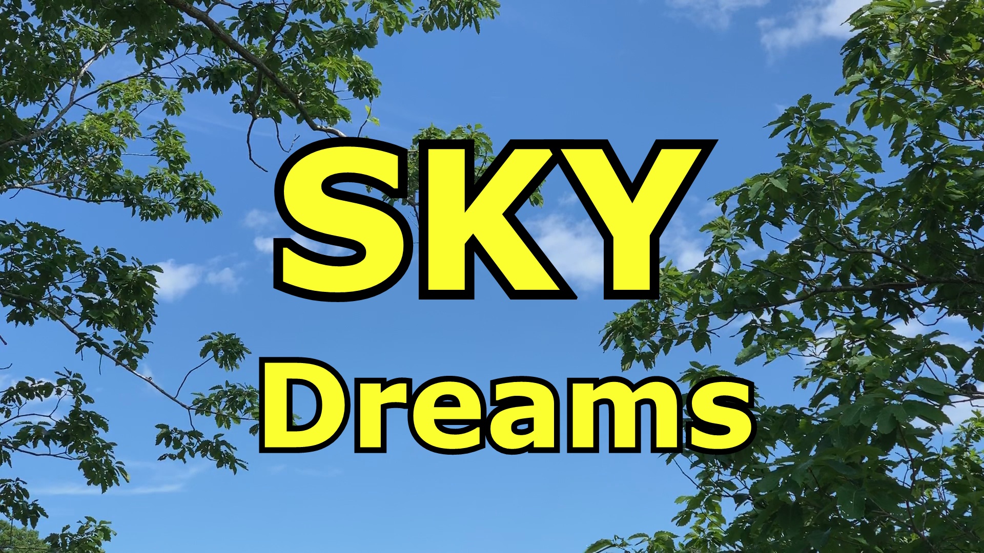 SkyDreamsImage25 