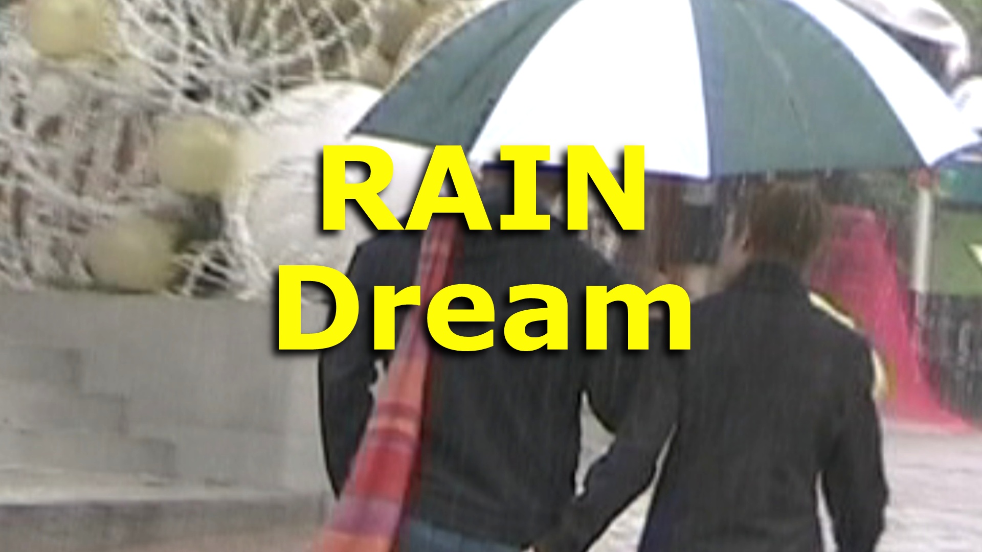 What Does It Mean To Dream Of Rain Carol Chapman