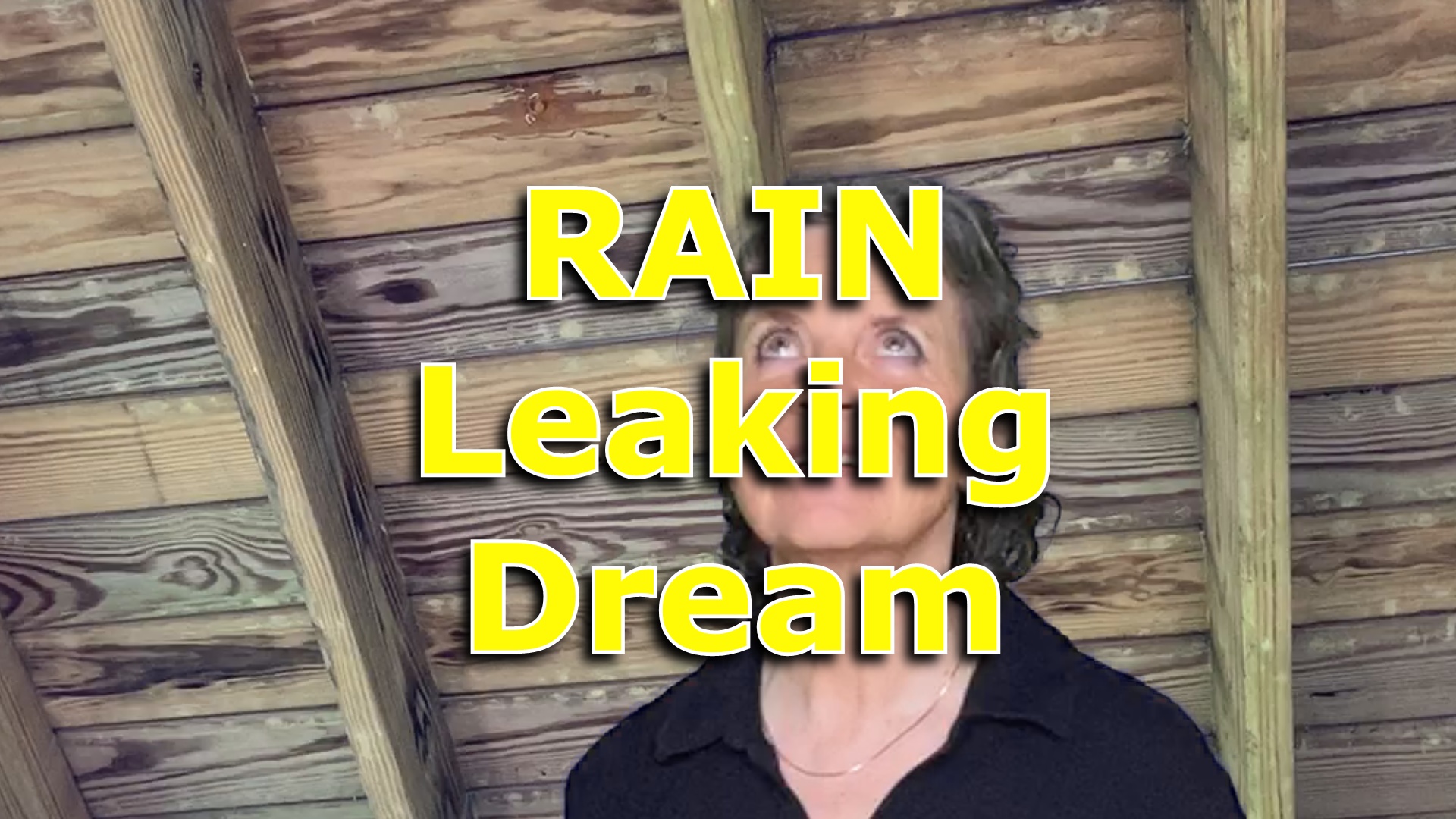 Rain Leaking Through Ceiling Dream Meaning - Carol Chapman