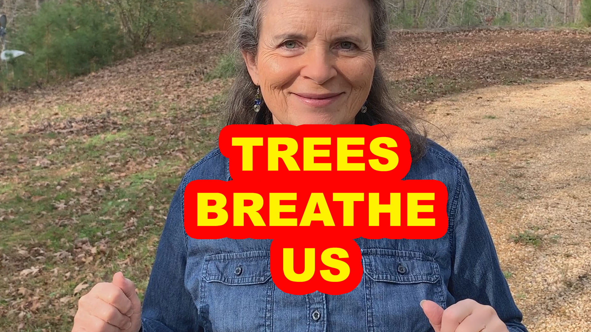 Trees Breathe In What We Breathe Out