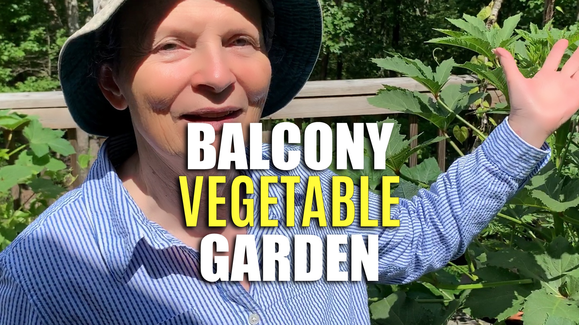 Grow a Balcony Vegetable Garden