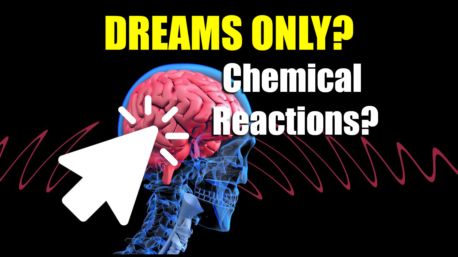 Are Dreams Only Chemical Reactions in the Brain